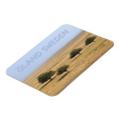 スウェーデン、オーランド、サバンナの木 マグネット (左側)