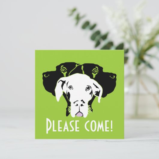 スウェートグレートダン顔 |ドッゲンハウス 招待状 (スタンド正面)