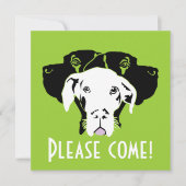 スウェートグレートダン顔 |ドッゲンハウス 招待状 (正面)