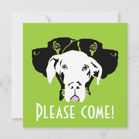 スウェートグレートダン顔 |ドッゲンハウス 招待状 (正面)