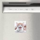 スウォッシュ入りのペット猫の写真名 マグネット (インサイチュ (食洗機))