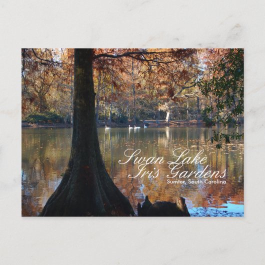 スウォン湖アイリスガーデン ポストカード (正面)