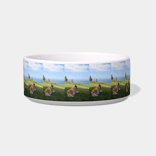 スカが楽しむケープジョージのペットボウル ボウル (正面)