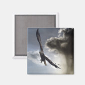 『スカイウォリアー』はげ鷲のプレゼント マグネット (正面/裏面)