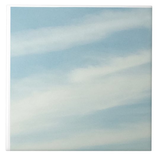 スカイウォークセラミックタイル タイル (正面)