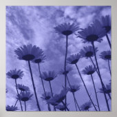 スカイガザーズ ポスター (正面)