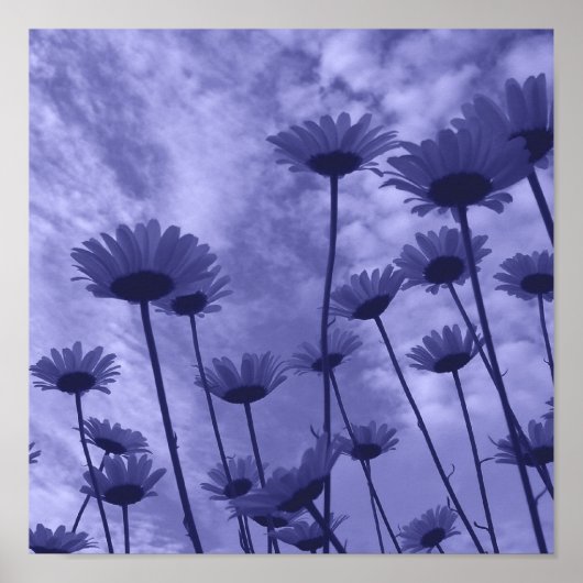 スカイガザーズ ポスター (正面)