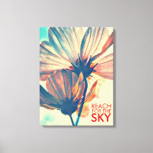 スカイコスモスの花を手に入れる