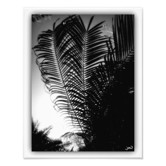 スカイスクレーパー フォトプリント           