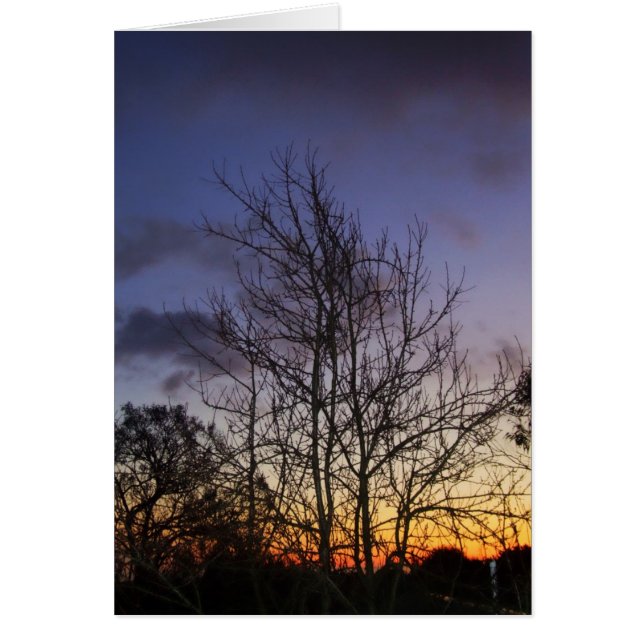 スカイスケープ#001カード (正面)