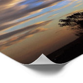 スカイスケープ： Ferntree Gully - POSTER ポスター (角)