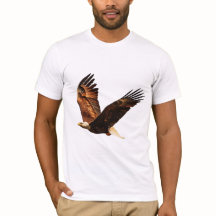 スカイソブリン威厳のある：イーグル