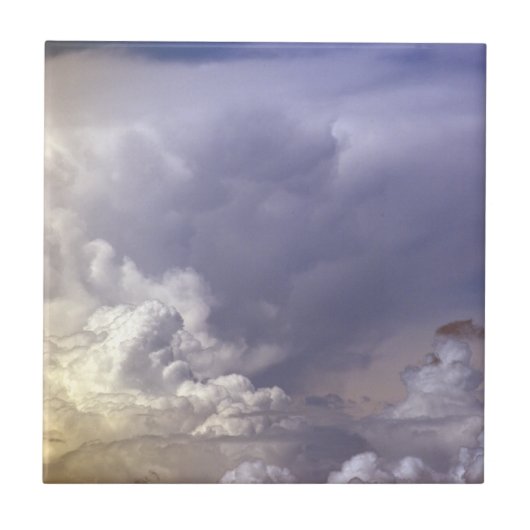 スカイタイルの色 タイル (正面)