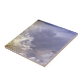 スカイタイルの色 タイル (側面)