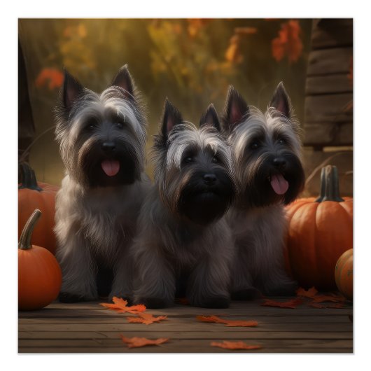 スカイテリアの子犬　秋の喜びのかぼちゃ ポスター (正面)