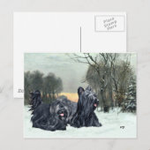 スカイテリアの雪景色の夕焼け ポストカード (正面/裏面)