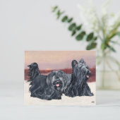 スカイテリアズ歩くアットサンセット ポストカード (スタンド正面)