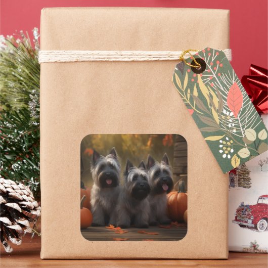 スカイテリアパピーオータムデライトカボチャ スクエアシール (クリスマス)