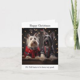 スカイテリア犬クリスマスカード カード