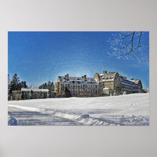 スカイトップロッジアフターザスノーポスター ポスター (正面)