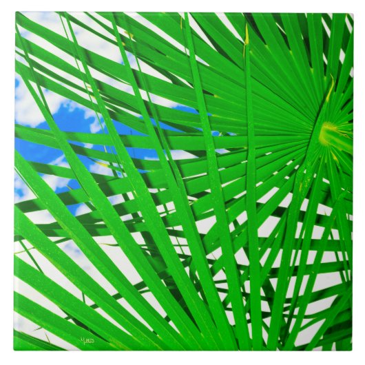 スカイパームセラミックタイル タイル (正面)