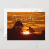 スカイビュー ポストカード (正面/裏面)