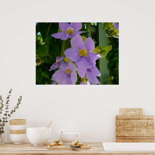 スカイフラワーつる植物トロピカルパープルフローラ ポスター (キッチン)