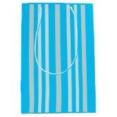 スカイブルーに灰色のストライプ灰色の緑の線 ミディアムペーパーバッグ (正面)