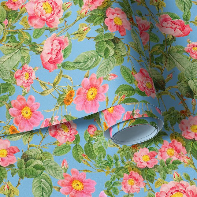 スカイブルーの背景ウォラパップ上の柔らかいガーデンバラ 壁紙 (クリエイターアップロード済み)