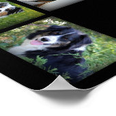 スカイブルーオーストラリア2016ポスター ポスター (角)