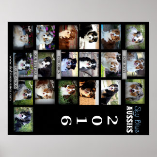 スカイブルーオーストラリア2016ポスター ポスター