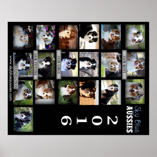 スカイブルーオーストラリア2016ポスター ポスター (正面)