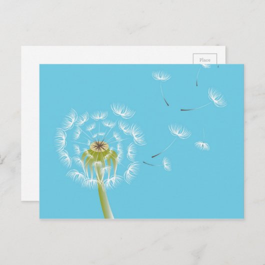 スカイブルーダンデリオンフローラ自然 ポストカード (正面/裏面)
