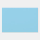 スカイブルー無地のカラーパステルカラー ラッピングペーパーシート (正面)