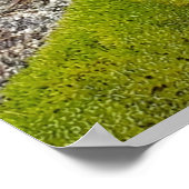 スカイボイビンの詩 ポスター (角)