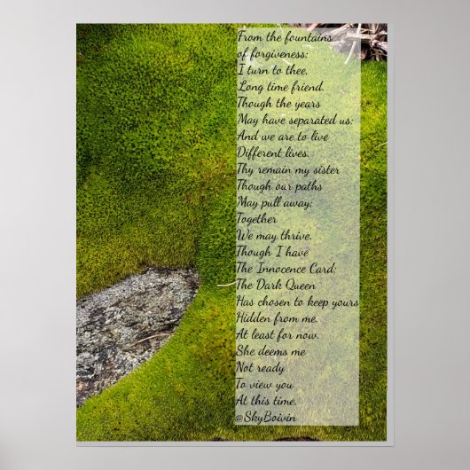 スカイボイビンの詩 ポスター (正面)