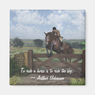 スカイマグネットに乗る マグネット