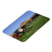 スカイミュージアム、キルミュア、スカイレ島、高地、 マグネット (左側)