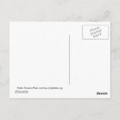 スカイライト ポストカード (裏面)