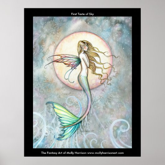 スカイラージポスターの第一味 ポスター (正面)