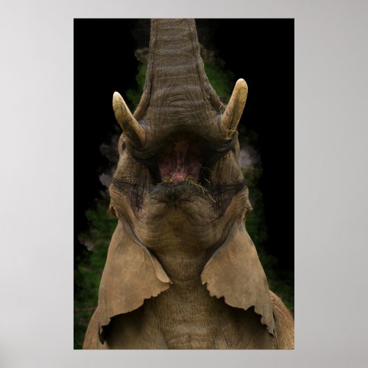 スカイワードスナックゾウの上昇手 ポスター (正面)