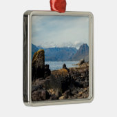 スカイ島 – スコットランド（英国） メタルオーナメント (右)