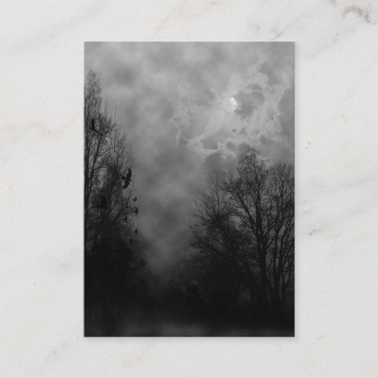 スカイ幽霊のよく出るとRavensの名刺 名刺 (正面)