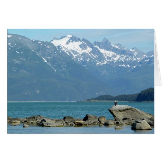 スカウェイアラスカのハゲワシ (正面横)