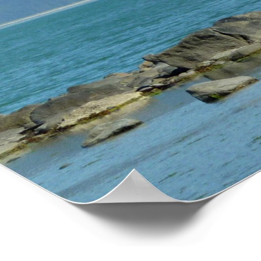 スカウェイアラスカのハゲワシ ポスター (角)