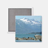 スカウェイアラスカのハゲワシ マグネット (正面/裏面)