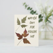 スカウトのアイビーハイキングの安全性に注意 ポストカード (スタンド正面)