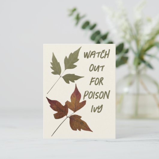 スカウトのアイビーハイキングの安全性に注意 ポストカード (スタンド正面)