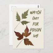 スカウトのアイビーハイキングの安全性に注意 ポストカード (正面/裏面)