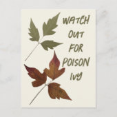 スカウトのアイビーハイキングの安全性に注意 ポストカード (正面)